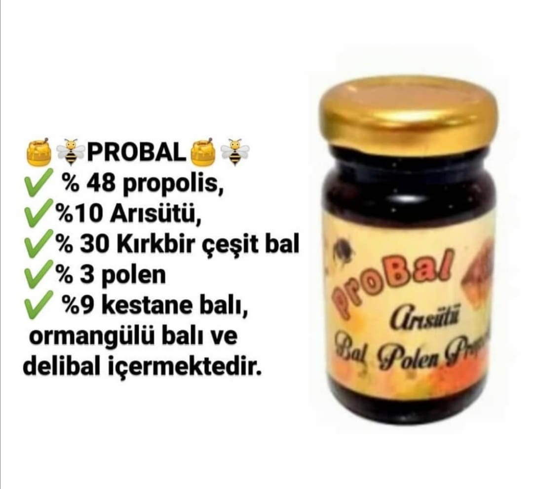 Salpin ProBal (Bal, Polen, Propolis, Arı Sütü Karışımı) 80 Gr.